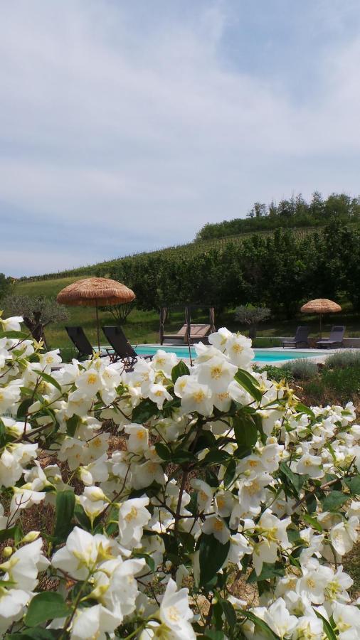 Sotto La Vigna Charm Stay Adults Only Vacation Suite Montegrosso dʼAsti Екстериор снимка